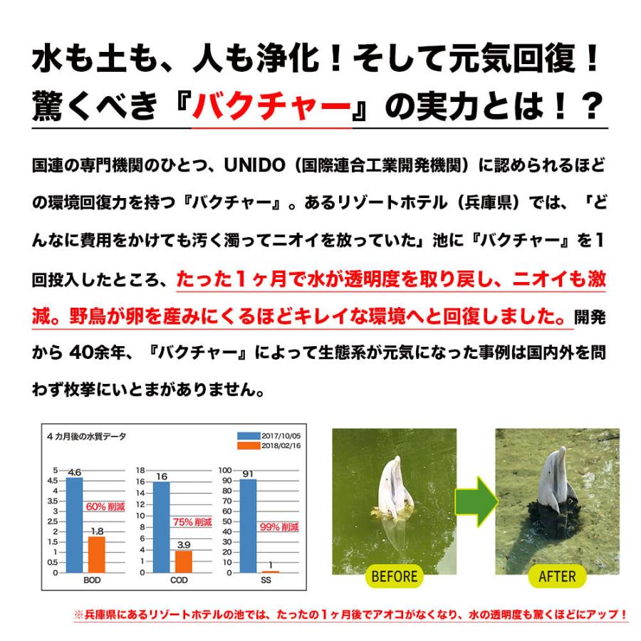 即日発送 土壌改良材 バクチャー・アグリ 土用 60ml 野菜 畑 土壌 土壌