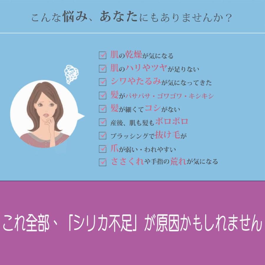 即日発送 ケイ素 シリカ ナチュラルチェンジ 50ml シリカ濃縮液 のむ