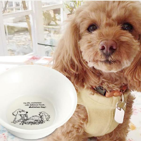 ●超レア●◯アンソロポロジー◯●キッチンツールセット●陶器製●DOG &CAT● リッチェル（Richell） 即日発送 犬 猫 食器 陶器 森修焼 スプーン L