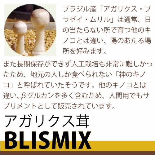 BLISMIX（ブリスミックス） 犬 ラム 中粒 3kg ドッグフード 口腔ケア