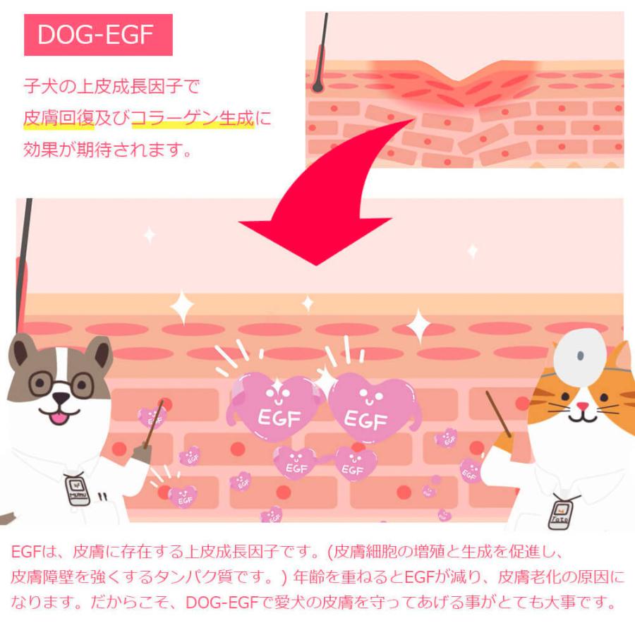 犬皮膚ケア 犬皮膚炎 犬皮膚再生 15周年記念イベントが ムムト 犬のボディケア 0ml 犬アレルギー疾患 犬被毛改善 犬皮膚改善 Dog Egf 犬フケ 天然由来成分 犬シャンプー 犬皮膚疾患