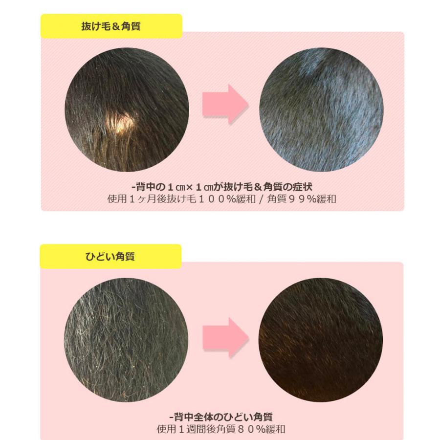 犬皮膚ケア 犬皮膚炎 犬皮膚再生 ムムト 犬のボディケア 200ml 犬アレルギー疾患 天然由来成分 DOG-EGF 犬皮膚疾患 犬皮膚改善 犬被毛改善 犬フケ 犬シャンプー :4589615520401:AIAI(アイアイ) - 通販 - Yahoo!ショッピング 犬皮膚ケア 犬皮膚炎 犬皮膚再生 ムムト 犬のボディケア 200ml 犬アレルギー疾患 天然由来成分 DOG-EGF 犬皮膚疾患 犬皮膚改善 犬被毛改善 犬フケ 犬シャンプー :4589615520401:AIAI(アイアイ) - 通販 - Yahoo!ショッピング