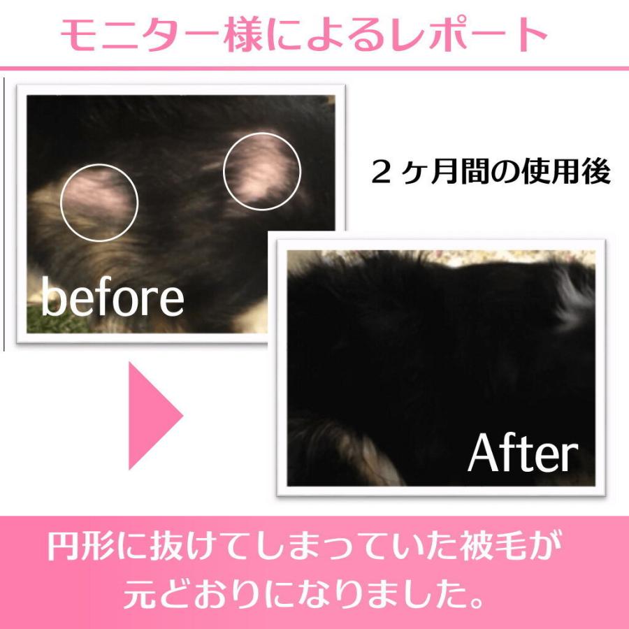 週間売れ筋 犬用入浴剤 ムムト Dog Egf 業務用プレミアムスパ 310g入 6袋 1 860g 犬の皮膚ケア 犬の皮膚病 皮膚炎 皮膚疾患 犬アレルギー 犬 Discoversvg Com