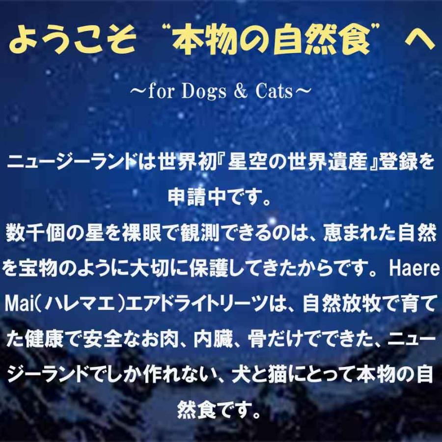 【３袋セット】ハレマエ　デンタルフフ　３ピース×３袋【24時間以内スピード発送】 Cikoume Back to Basics Haere Mai デンタルフフ 3ピース