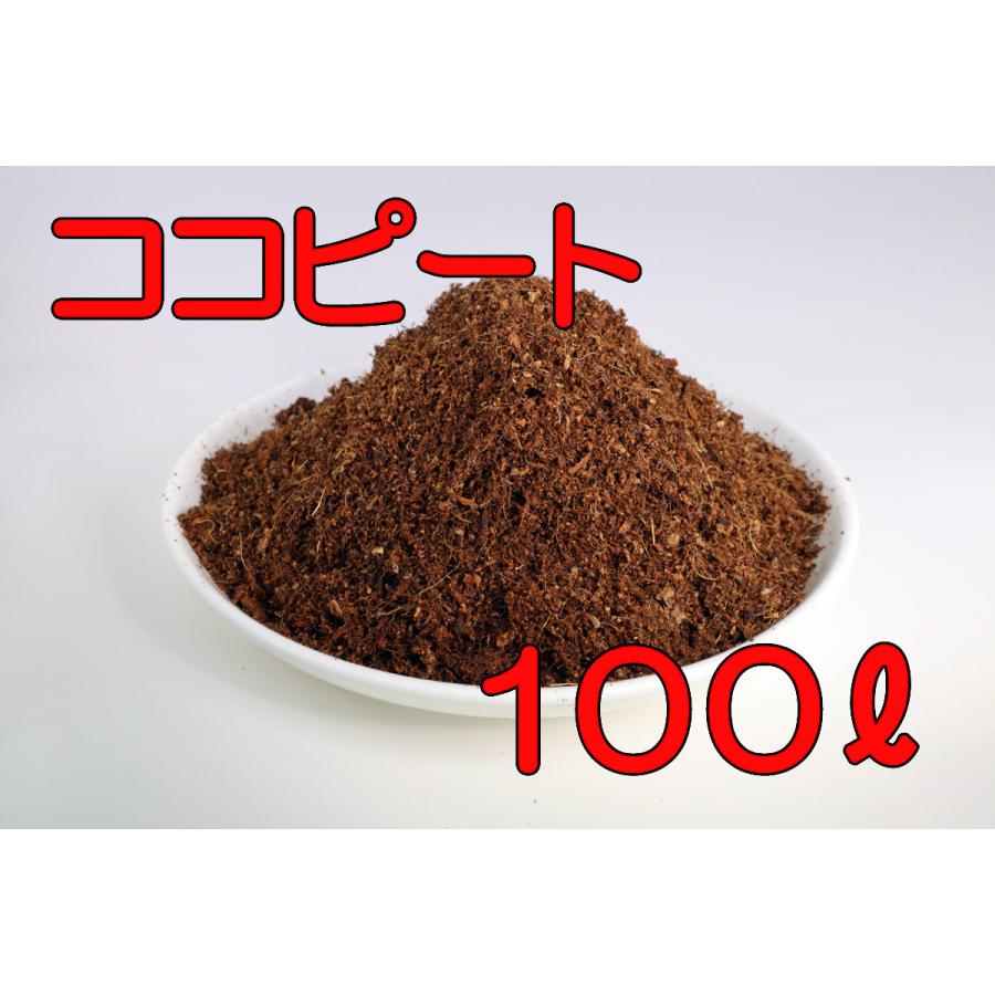 ココナッツピート 100L : AICHIメーデル - 通販 - Yahoo!ショッピング
