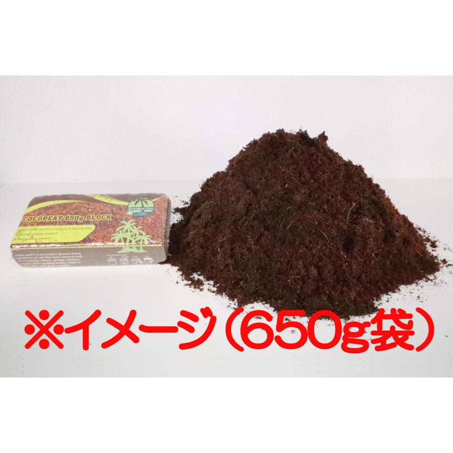 ココナッツピート（大ブロックタイプ）-復元60L（1袋） : AICHI