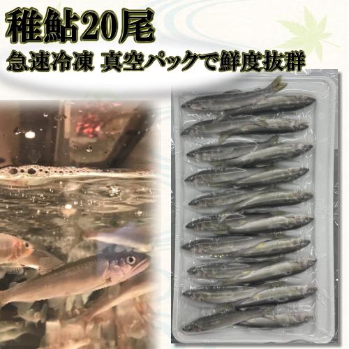 冷凍 稚鮎 鮎 (あゆ) 20尾/枚 トレー 【愛知県産 養殖鮎】魚介類 魚