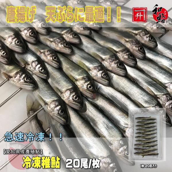 愛知県産天然鮎　中12尾冷凍① セレクトフーズ通販本店 / 子持ち鮎 1㎏ 12尾 X1ボール 愛知産 岐阜産