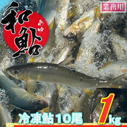 愛知県産天然鮎　大10尾冷凍① 冷凍 鮎 (あゆ) 10尾/1kg【愛知県産 養殖鮎・魚介類】BBQ