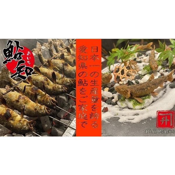 愛知県産天然鮎 大10尾冷凍② 冷凍 鮎 (あゆ) 10尾/1kg【愛知県産 養殖