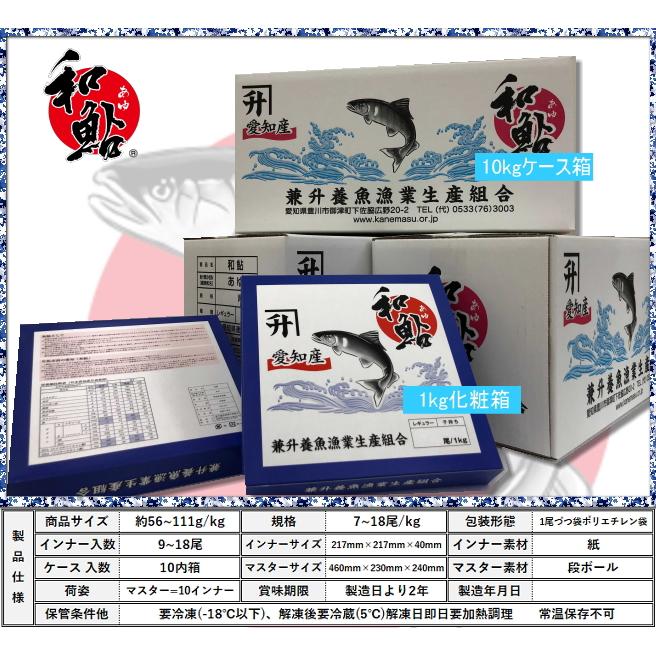 冷凍 鮎 (あゆ) 10尾/1kg【愛知県産 養殖鮎・魚介類】BBQ