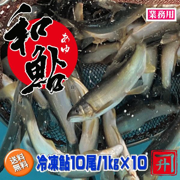 冷凍鮎10尾/1kg×10/cs（愛知県産養殖）｜aicihi-ec