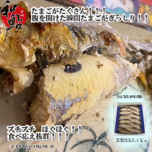 愛知県産天然鮎　大10尾冷凍① 冷凍 子持ち 鮎 (あゆ) 10尾/1kg【愛知県産 養殖鮎・魚介類】 魚 食品