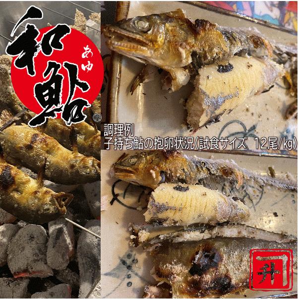 冷凍 子持ち 鮎 (あゆ) 10尾/1kg【愛知県産 養殖鮎・魚介類】 魚 食品