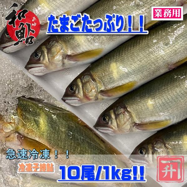 愛知県産天然鮎　中12尾冷凍① セレクトフーズ通販本店 / 子持ち鮎 1㎏ 12尾 X1ボール 愛知産 岐阜産