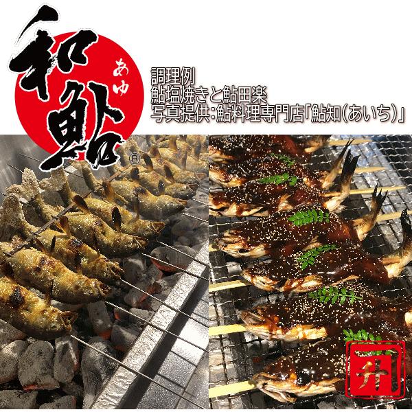 冷凍 子持ち 鮎 (あゆ) 15尾/1kg×10/cs【愛知県産 養殖鮎・魚介類】 魚 食品 冷凍食品 業務用_6