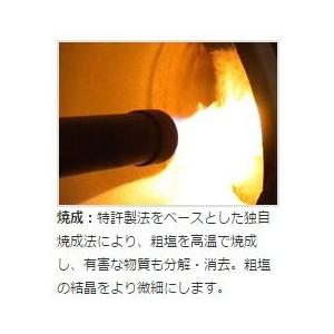 キパワーソルト 250g 【1袋】 全国一律・送料無料 です! メール便で発送します♪(ポスト投函でのお届けです。)|aidas-satisfaction|02