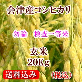 送料無料 玄米 福島産 コシヒカリ お米 20キロ 令和5年