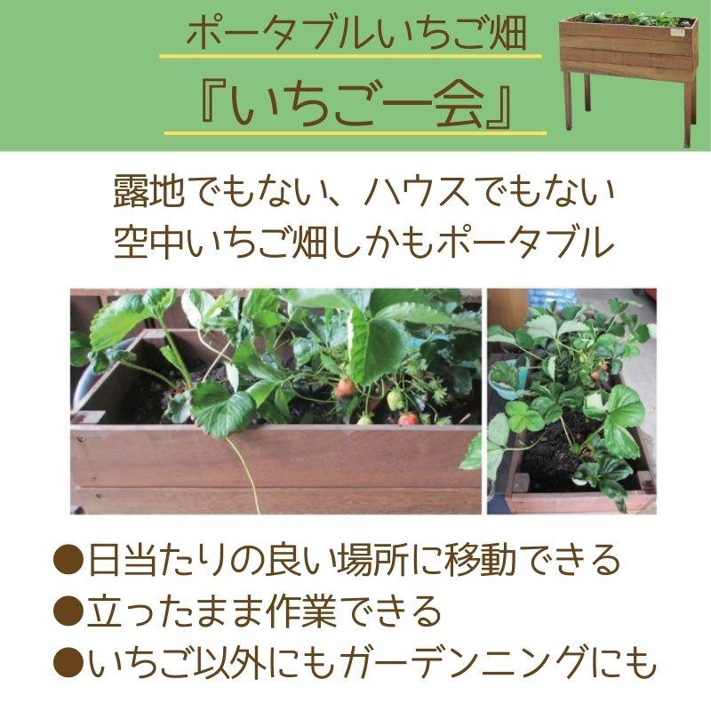 プランター 大型 野菜 屋外 おしゃれ 長方形 プタンタースタンド 花台 脚付き 木製 ウリン 家庭菜園 幅90cm 高さ90cm 完成品 いちご一会_1