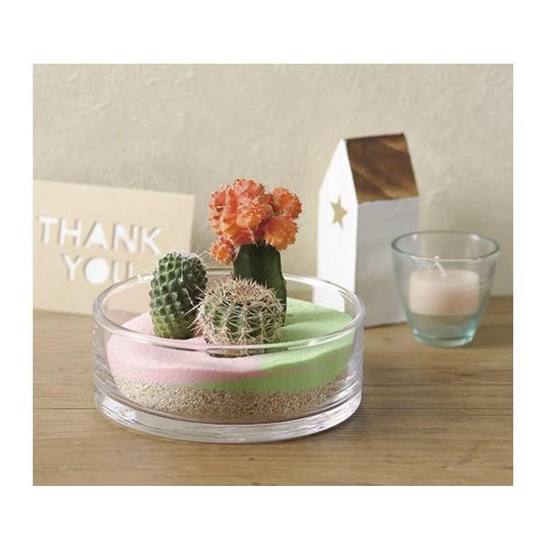 花瓶 フラワーベース ガラス グラス 花 インテリア ガラスボール Pa Ex 50 9 Aifa インテリア雑貨 通販 Yahoo ショッピング