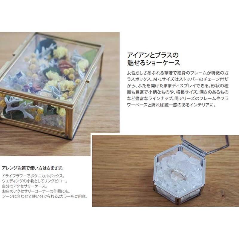 POSH LIVING（ポッシュリビング） 小物収納 小物入れ ガラスボックス 