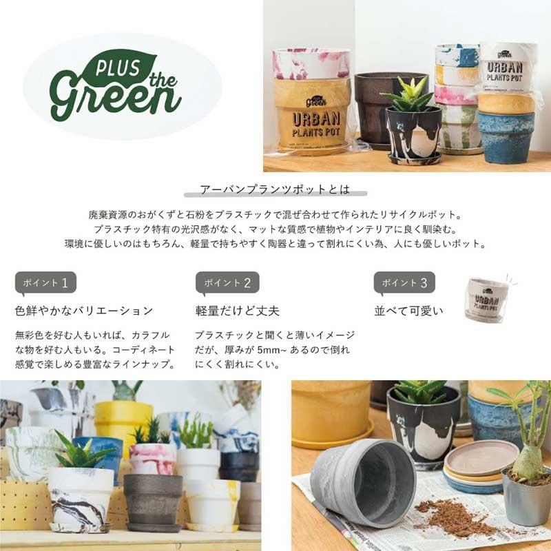 総合ランキング1位 プランター 植木鉢 おしゃれ 鉢植えアーバンプランツポット ソリッド 12号サイズ 最安 Carlavista Com