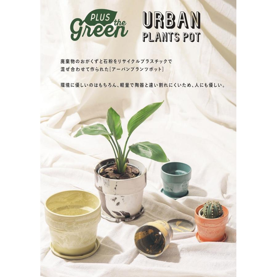 鉢・プランター Leo 植木鉢 プラスチック おしゃれ 6号 通販 鉢カバー 6号鉢 プランター