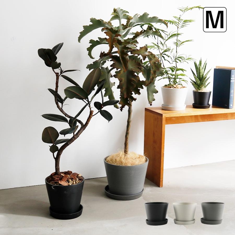 エコ素材でできたフラワーポット M Horn Please 志成販売 : aifa 