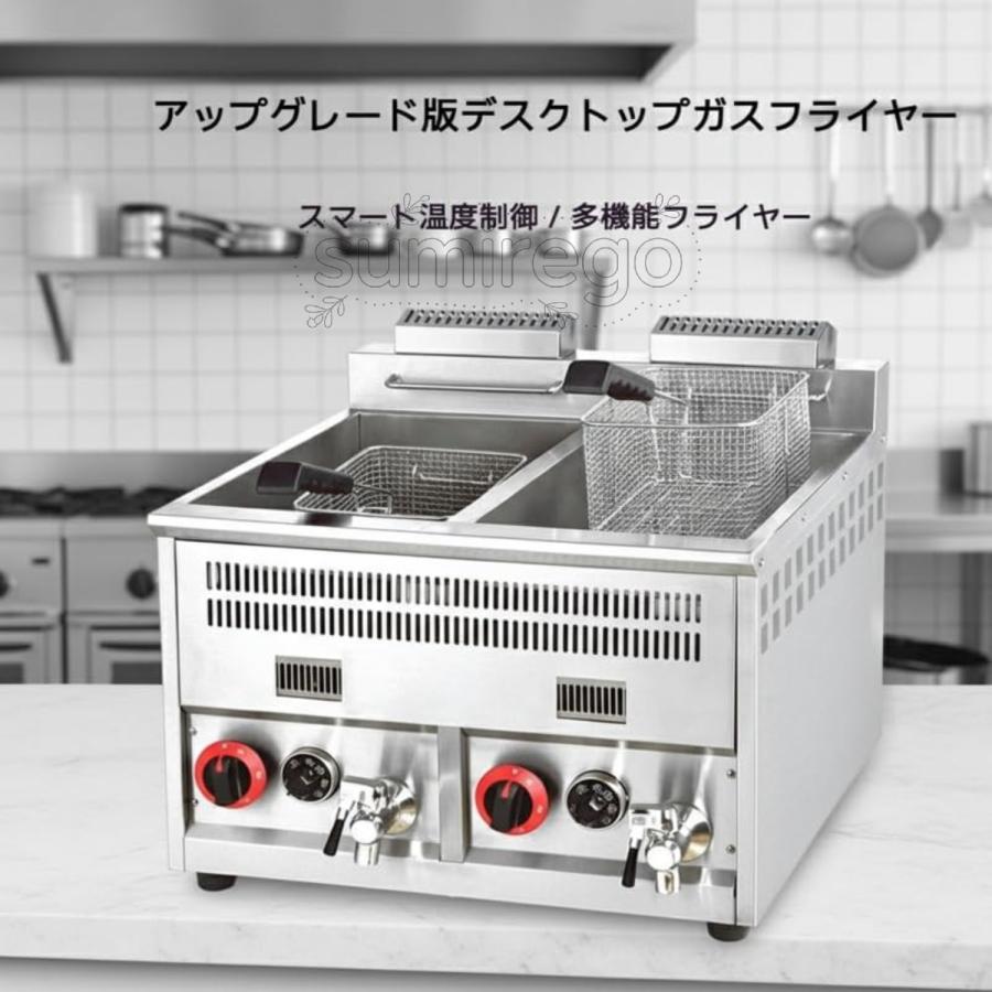 フライヤー業務用 フライヤー 業務用 PRO SERIES 業務用 電気フライヤー 2槽式 本体 100V