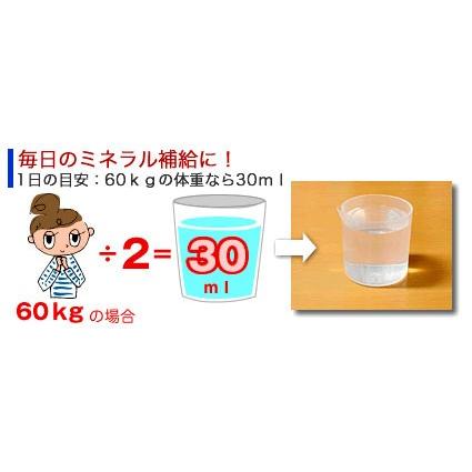 岩の力　野島式超ミネラル水　2000ml　ミネラルウォーター　2L　4本セット Amazon.co.jp: 岩の力 野島式超ミネラル水 2000ml X 3本セット