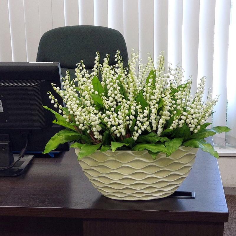 鈴蘭100本アレンジ 造花 蕾含1300輪付 光触媒 約高40cm 幅50cm Auzurann100pshiroa アイフラワー グリーン 通販 Yahoo ショッピング