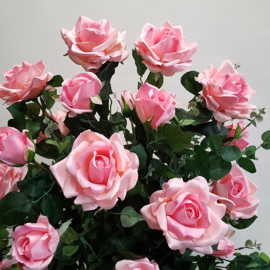 バラピンク（剣咲）AR140 高75cm : アイフラワー&グリーン - 通販