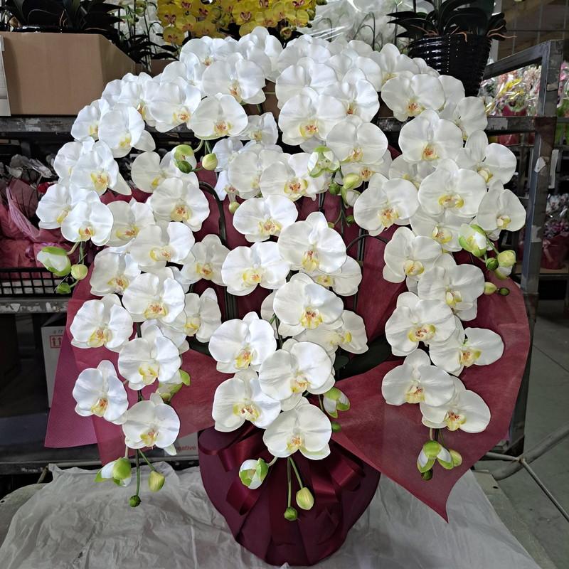 胡蝶蘭L/白黄/7本立F（造花）高100×幅70・光触媒 : アイ