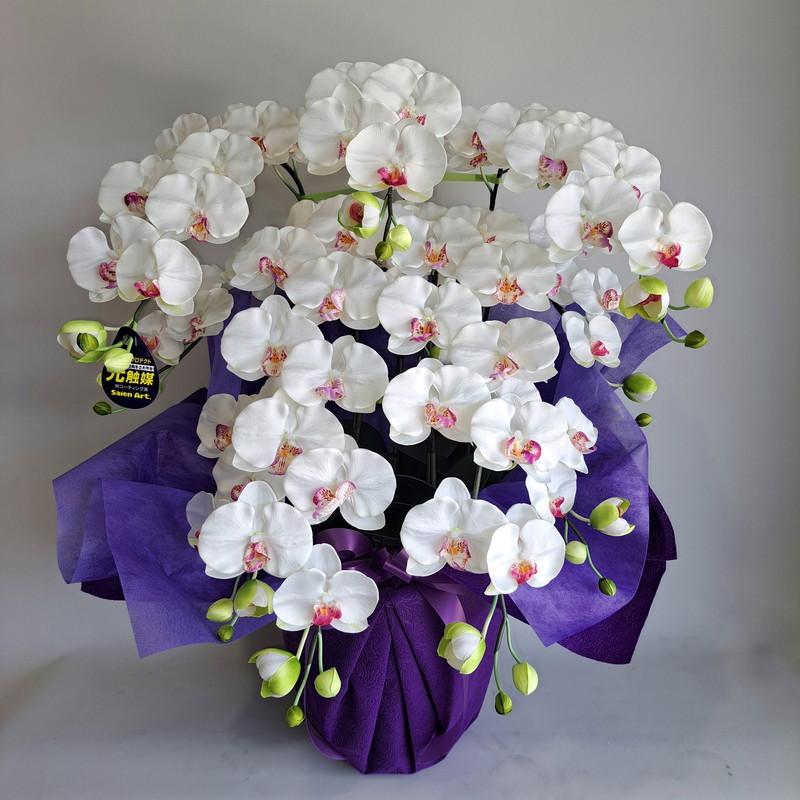 胡蝶蘭-DXL/白紫3F 高さ80cm×巾40cm 造花・光触媒