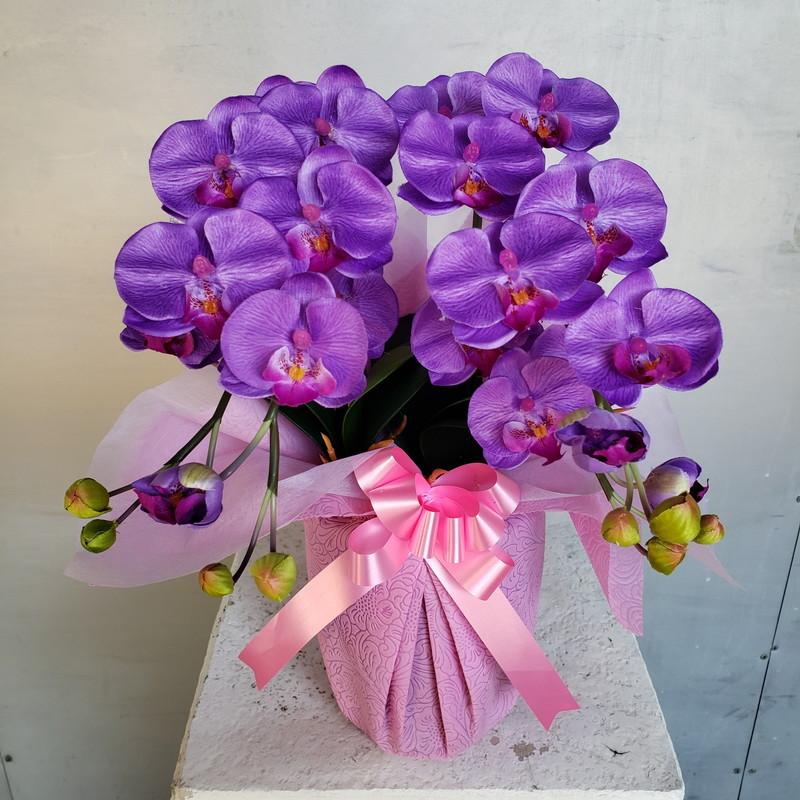 胡蝶蘭S2F・紫（造花）高40×幅25 : アイフラワー&グリーン - 通販