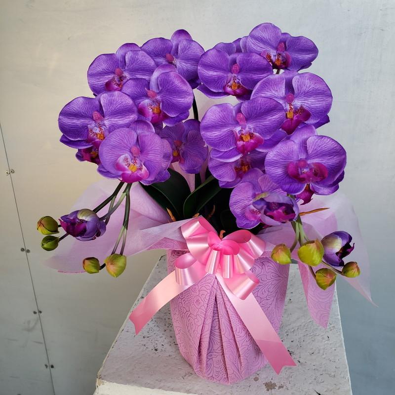 胡蝶蘭S2F・紫（造花）高40×幅25 : アイフラワー&グリーン - 通販