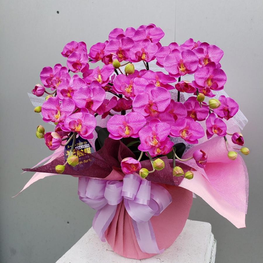 胡蝶蘭S/5F/赤（造花）光触媒 : アイフラワー&グリーン - 通販 - Yahoo