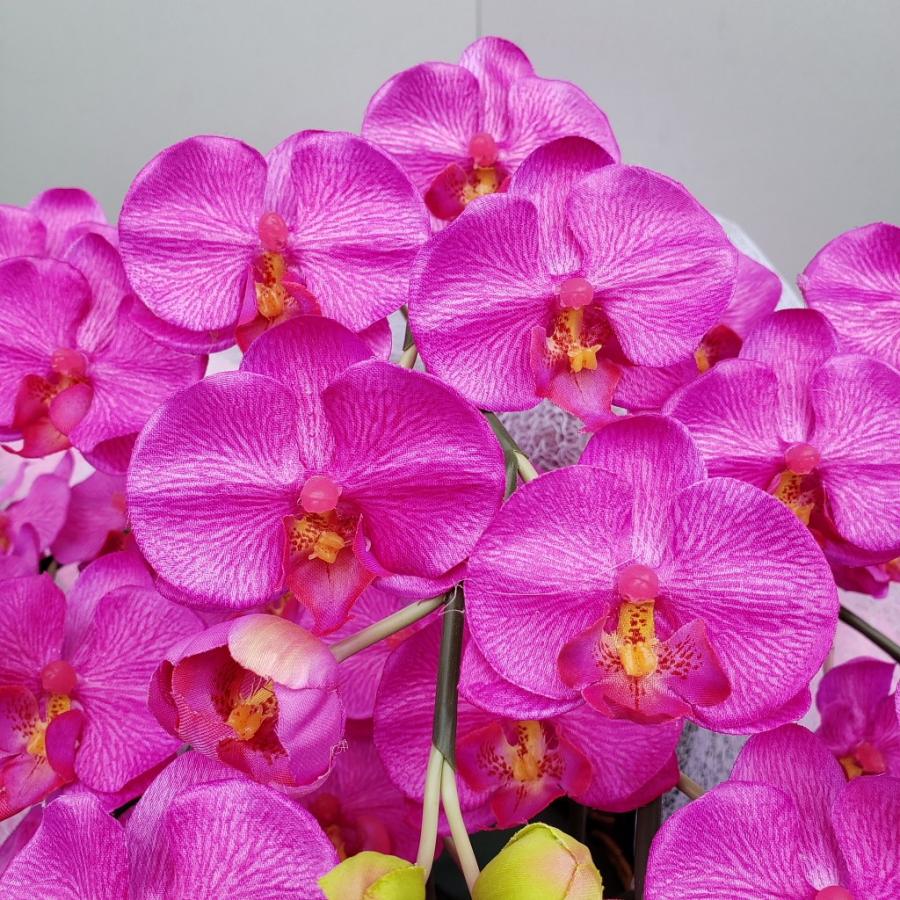 胡蝶蘭S/5F/赤（造花）光触媒 : アイフラワー&グリーン - 通販