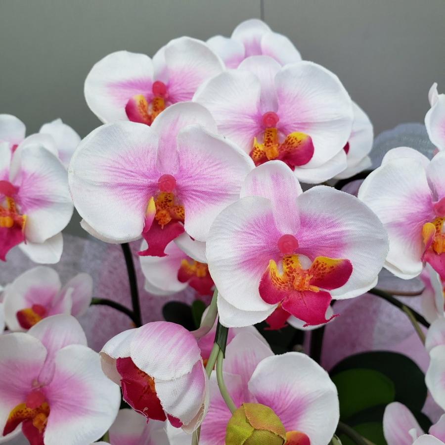 胡蝶蘭S/5F/絞り赤（造花）光触媒 : アイフラワー&グリーン