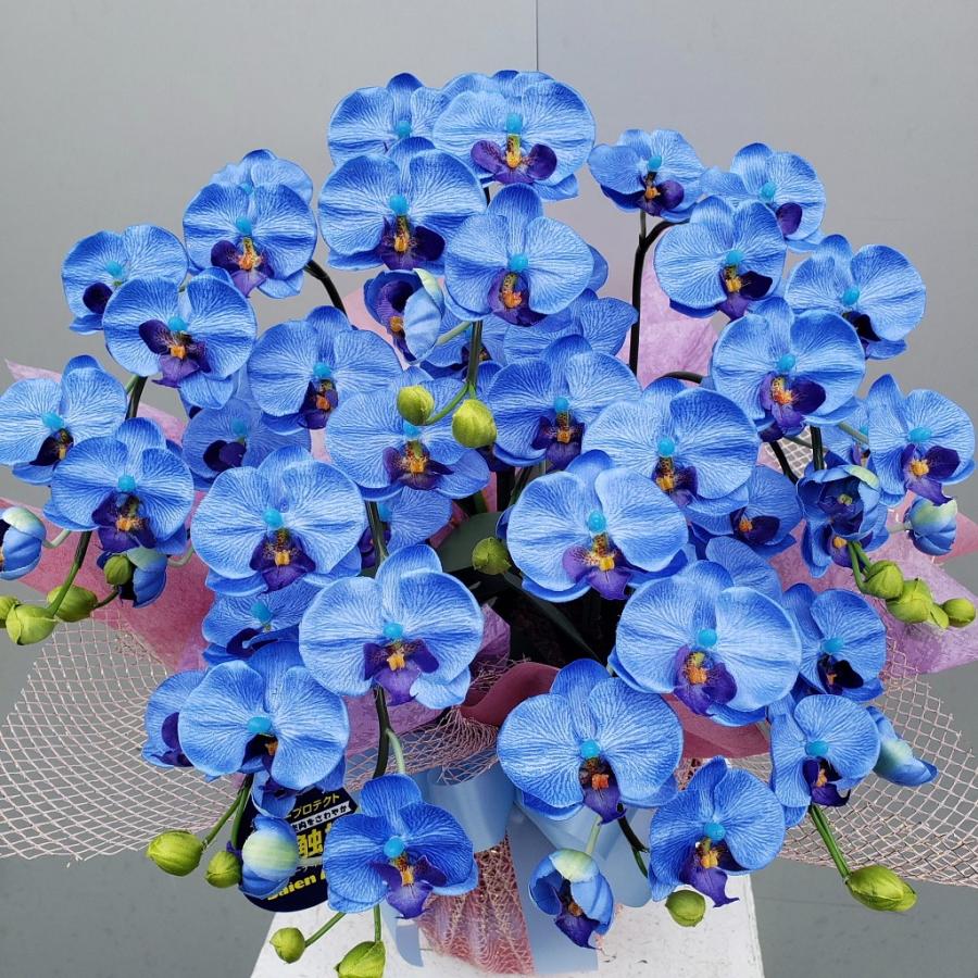 胡蝶蘭S５F ブルー（造花）高５０cm×幅３５cm （光触媒コーティング