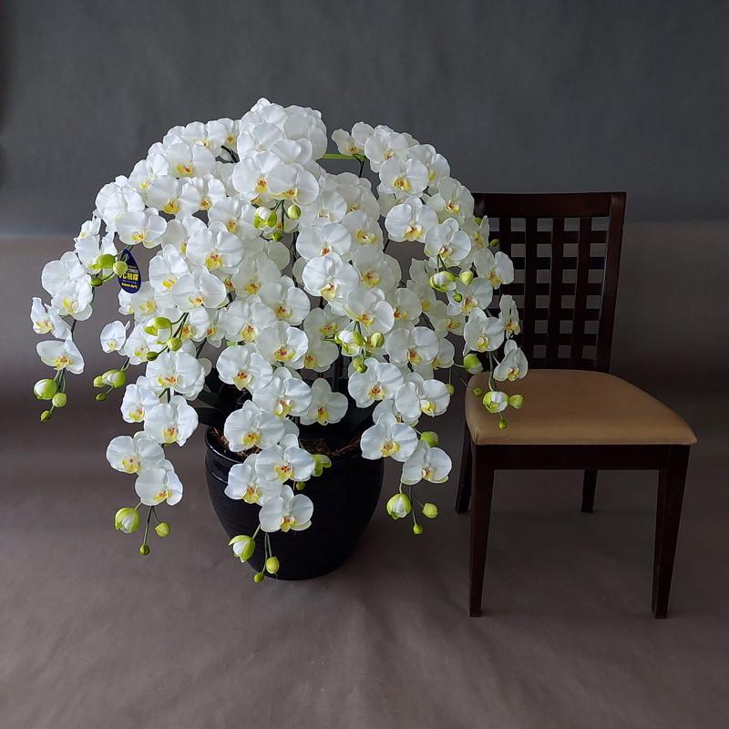 胡蝶蘭L、造花・10F/白黄・高100×幅60・光触媒コーティング : アイ 