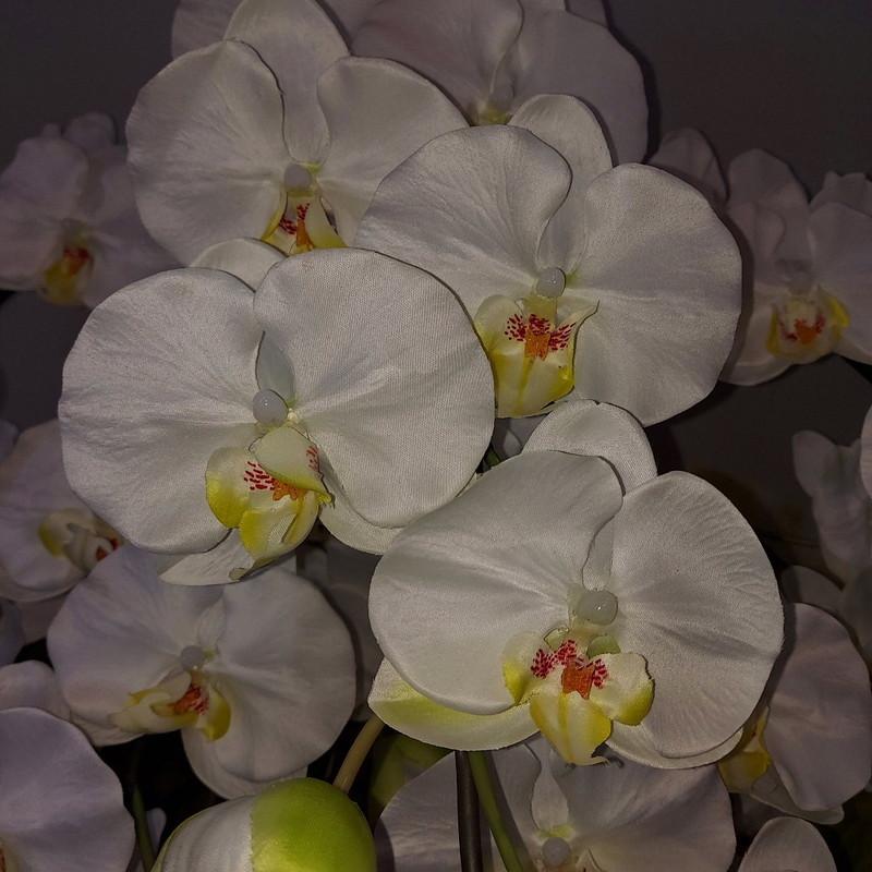 胡蝶蘭L白黄5F・造花・高80×幅50・光触媒 : アイフラワー&グリーン 