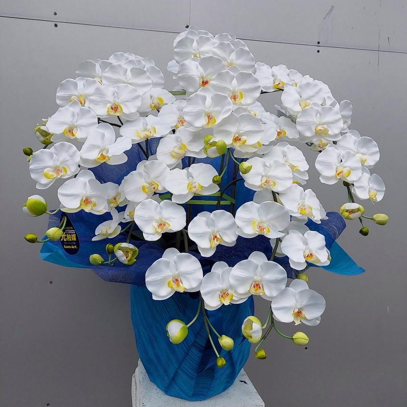 爆売りセール開催中 Nearly Natural 24” Bougainvillea Artificial Climbing Silk