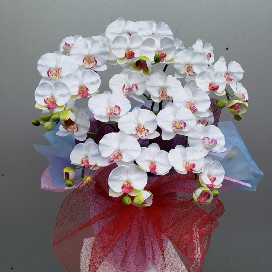 胡蝶蘭M白（造花）高約７０cm×幅４０cm （光触媒コーティング