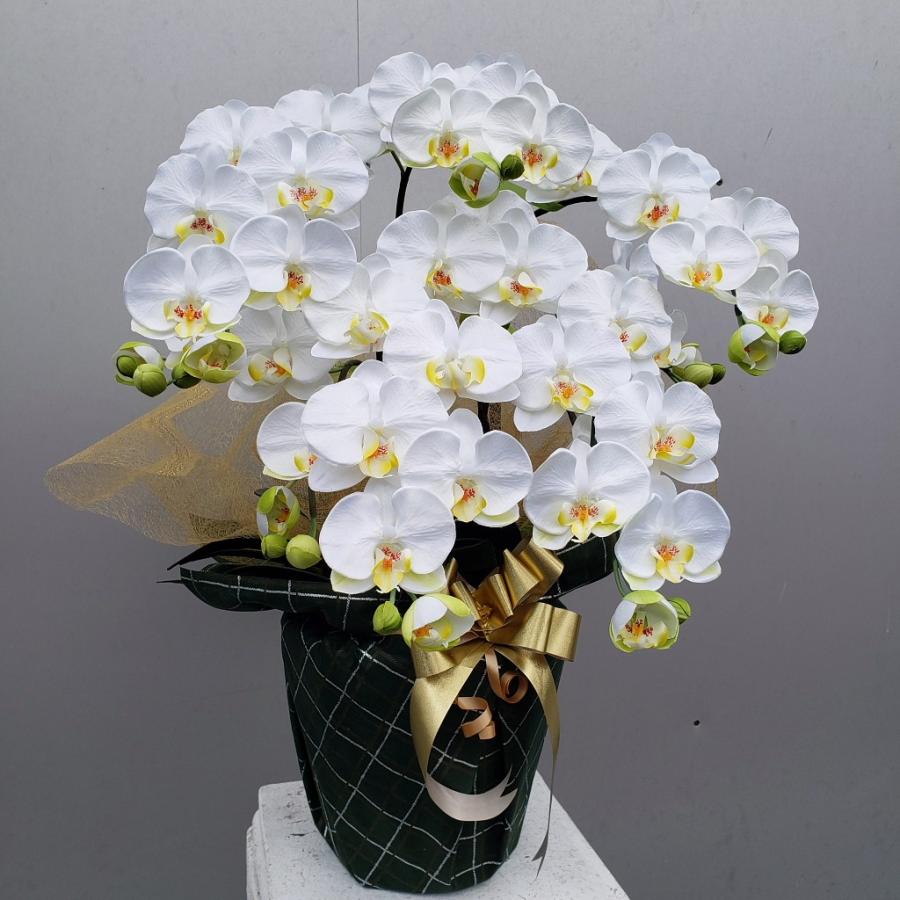 胡蝶蘭M/5F/白黄（造花）約高70×幅40光触媒コーティング 価格 安い