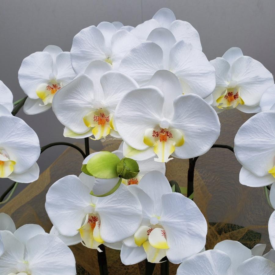 胡蝶蘭M/5F/白黄（造花）約高70×幅40光触媒コーティング 価格 安い