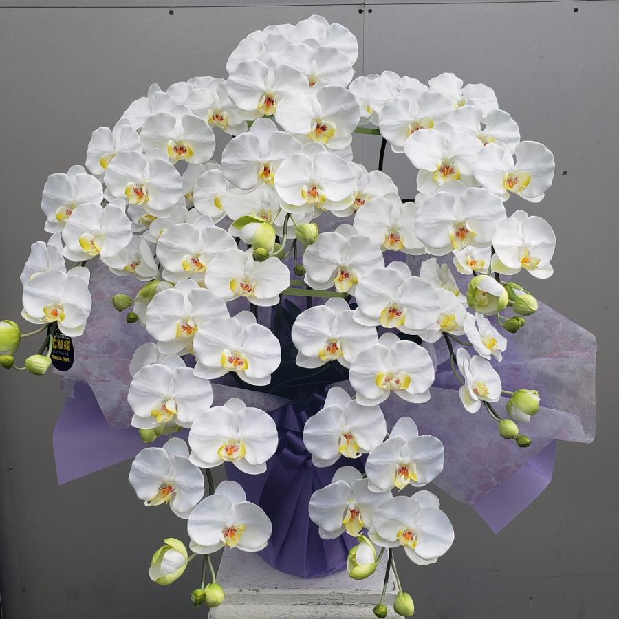 胡蝶蘭ロング（白黄）5F（造花）光触媒コーティング : アイフラワー 