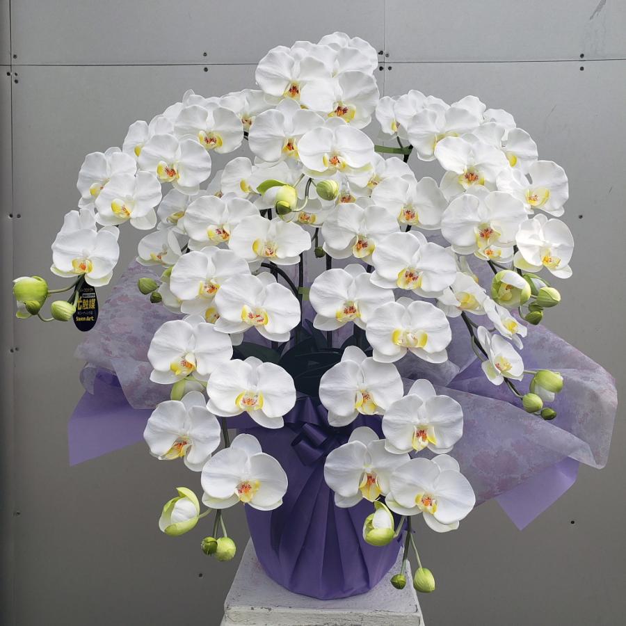 胡蝶蘭ロング（白黄）5F（造花）光触媒コーティング : アイフラワー 