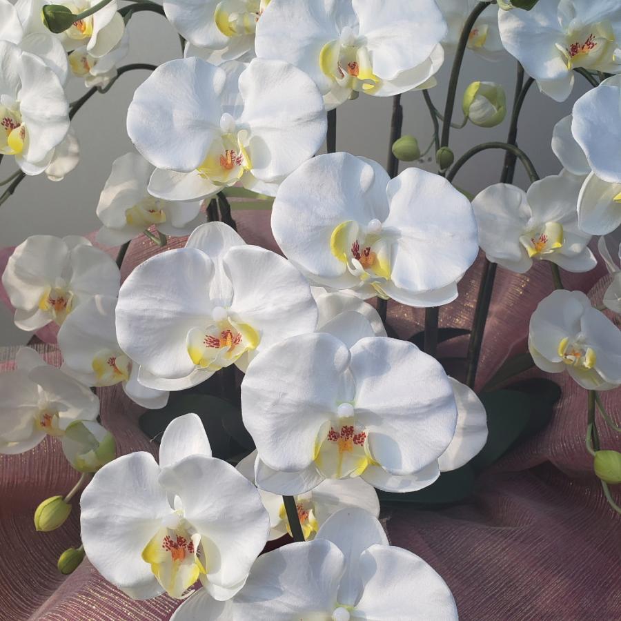 胡蝶蘭ロング（白黄）5F（造花）光触媒コーティング : アイフラワー 