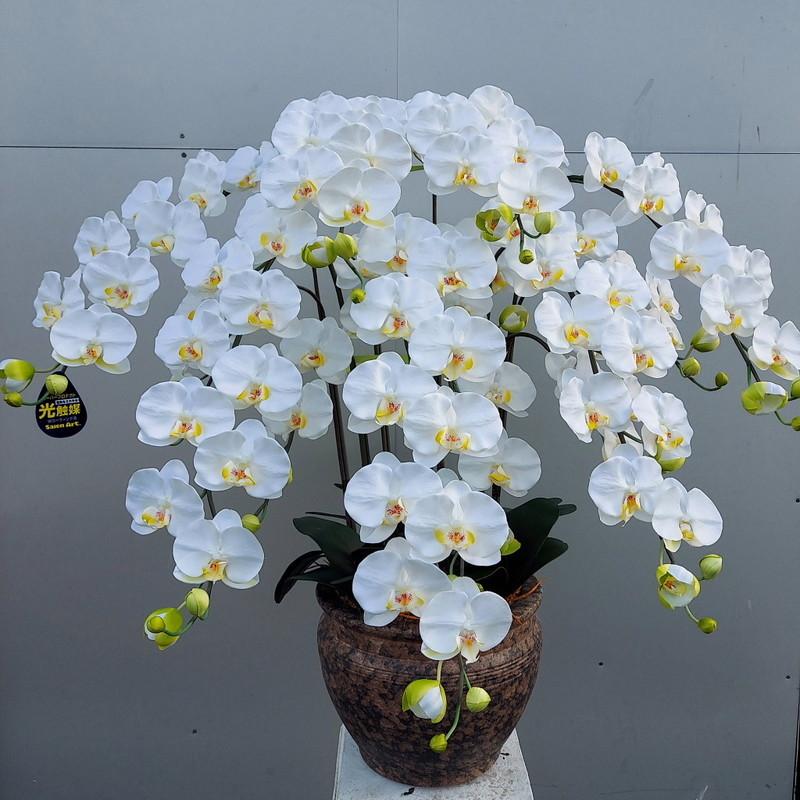 胡蝶蘭・L・7F・白黄リップ・造花・高約１ｍ×幅80cm・光触媒の画像